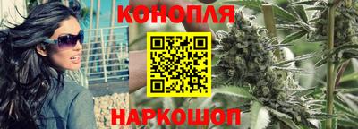 крисы Пыть-Ях