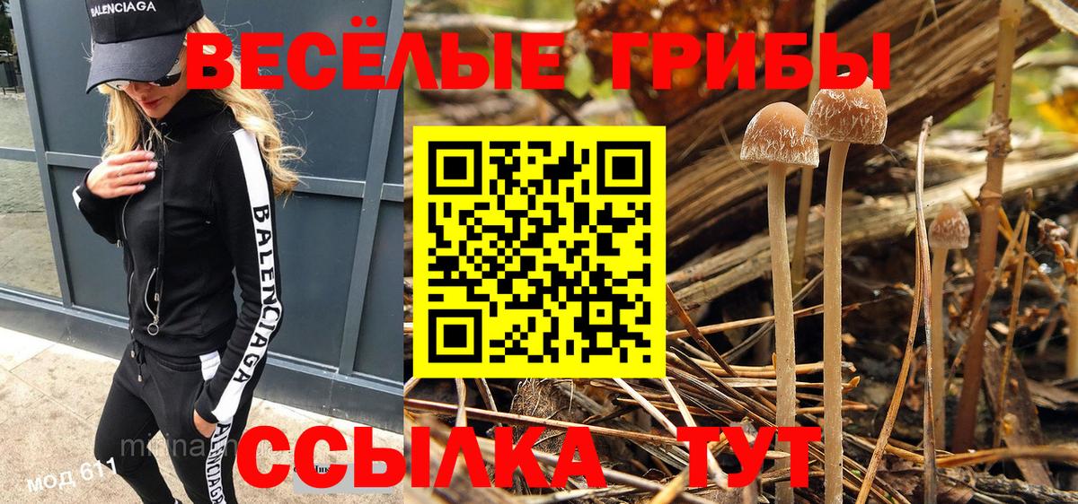 Псилоцибиновые грибы GOLDEN TEACHER  Галлюциногенные грибы GOLDEN TEACHER  Вход с VPN  Ступино 