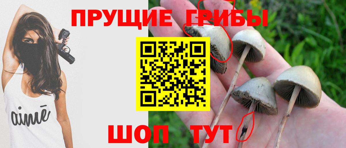 Галлюциногенные грибы мицелий Ступино